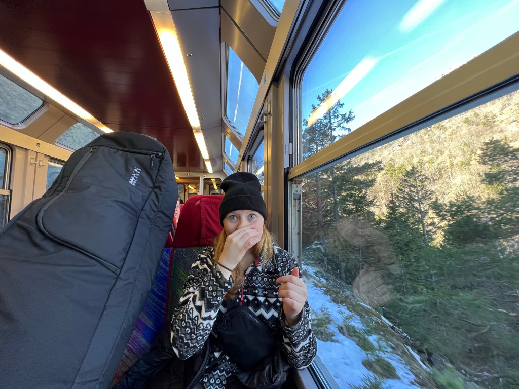 Ski Trip? Trains &&nbsp;Views